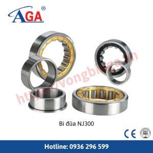 Bi đũa NJ300