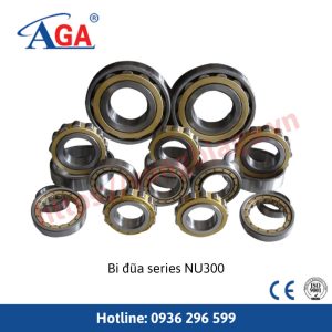Bi đũa Series NU300