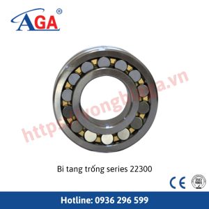 Bi tang trống Series 22300
