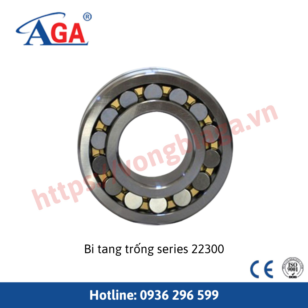 Bi tang trống Series 22300