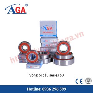 Vòng bi cầu series 60