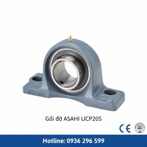 Gối đỡ ASAHI UCP205