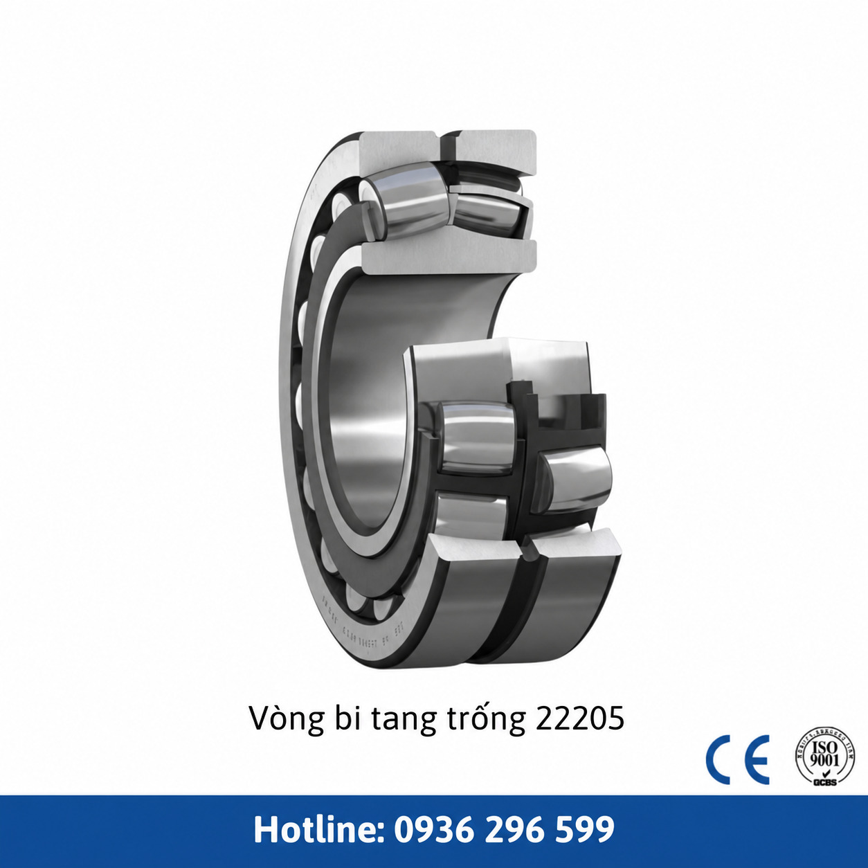 Vòng bi SKF